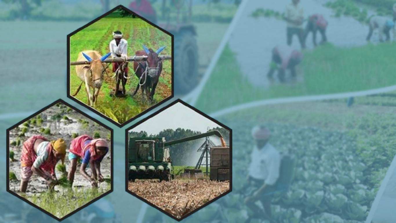 Union Cabinet Approves Rs 13,966 Crore Investment for Seven Agricultural Projects