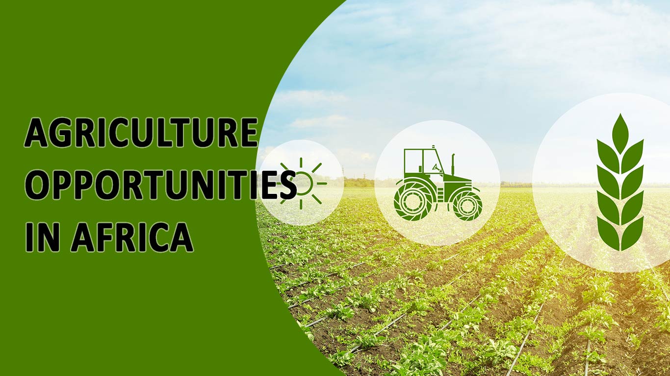 Indian Companies Explore Agriculture Opportunities in Africa
