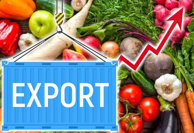Agri exports surpass $26.3 bn mark, records 9% increase in FY23