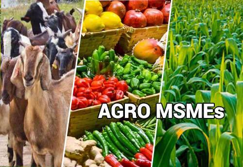 Govt planning to agro MSMEs to push rural entrepreneurship