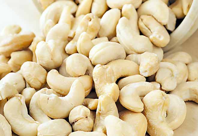TNCPEA urges Tamil Nadu govt to include cashews in Pongal gift hamper to support local industry