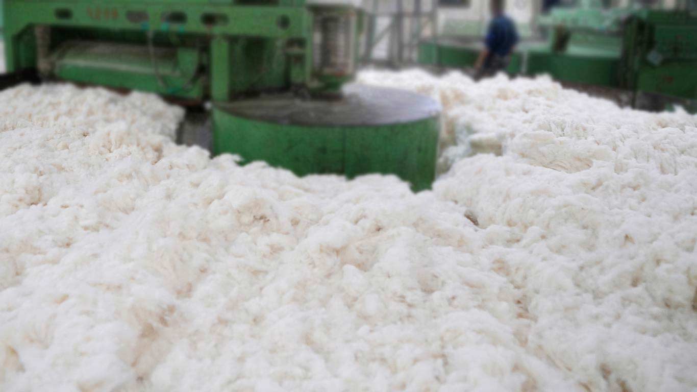 Reduced Cotton Sowing May Dent India’s Textile Export Ambitions