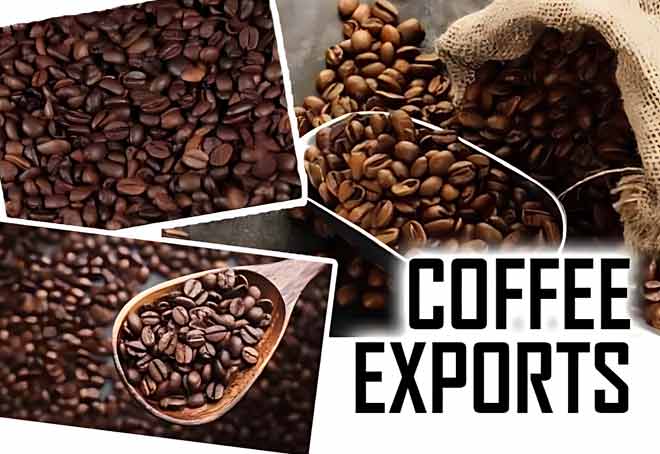 Indian coffee exports up nearly 2% to 400,000 tonnes in 2022