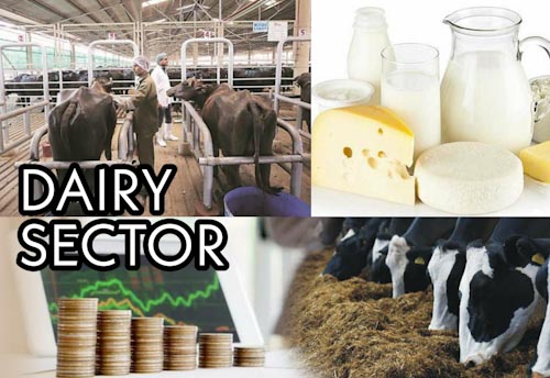 Govt introduces Interest subvention on Working Capital Loans for Dairy sector
