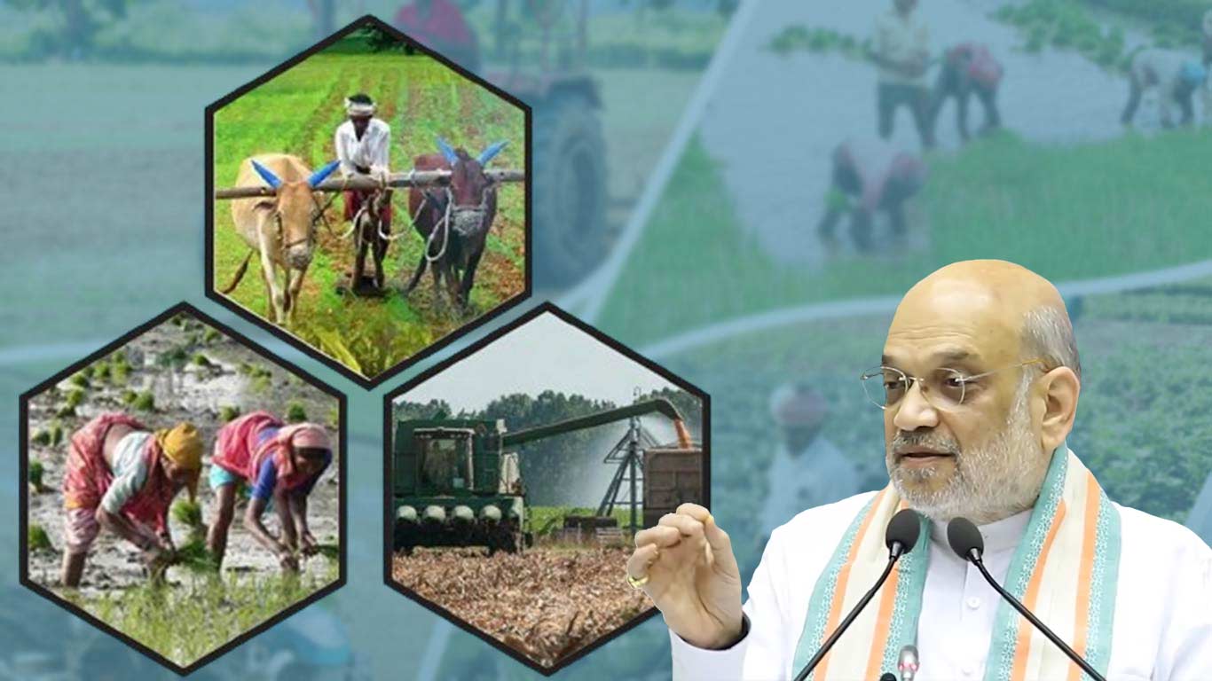 Govt Cuts Export Price Restrictions To Support Farmer Incomes: Amit Shah