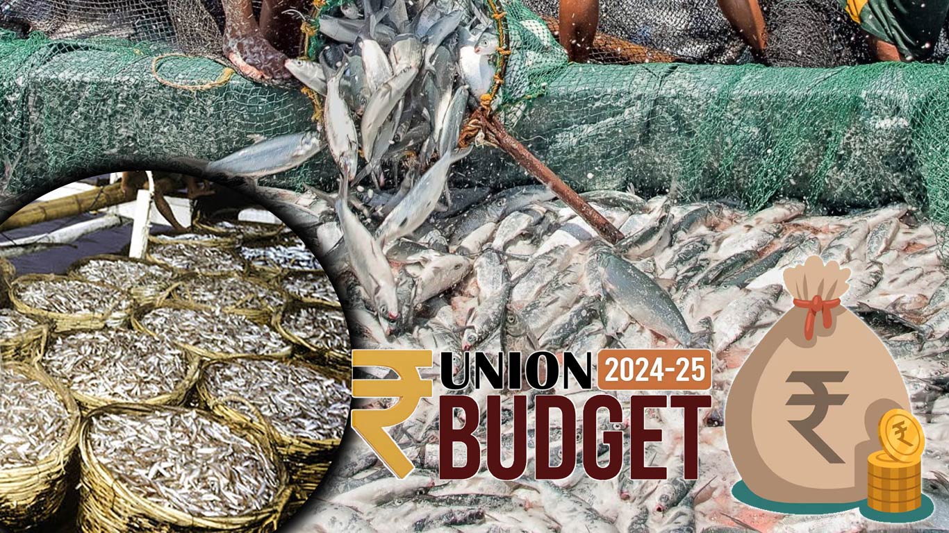 India's Fisheries Sector Receives Over Rs 2600 Cr Fund in Budget 2024-25
