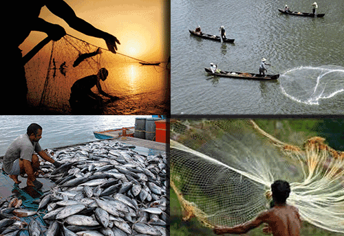 GST blues: TN's Fishing Net MSMEs bearing negative implications of