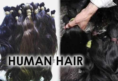 Govt imposes curbs on export of human hair