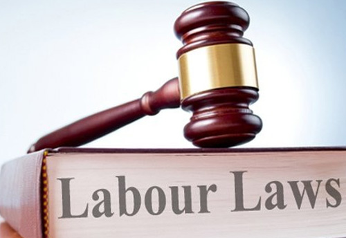 Ludhiana MSMEs demand exemption from 'Certain Labour Laws Ordinance, 2020'