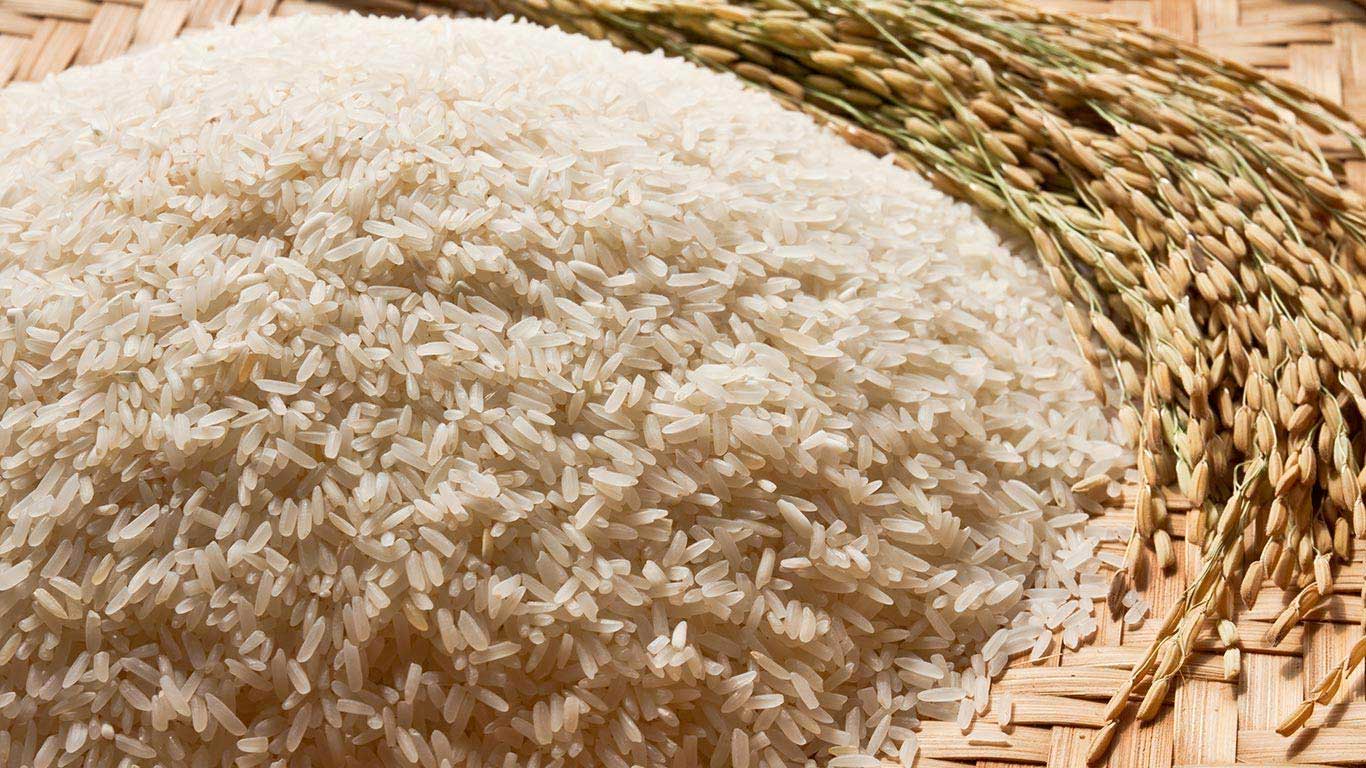 India Mulls Lifting Ban On Non-Basmati White Rice Exports Amid Surplus Stock