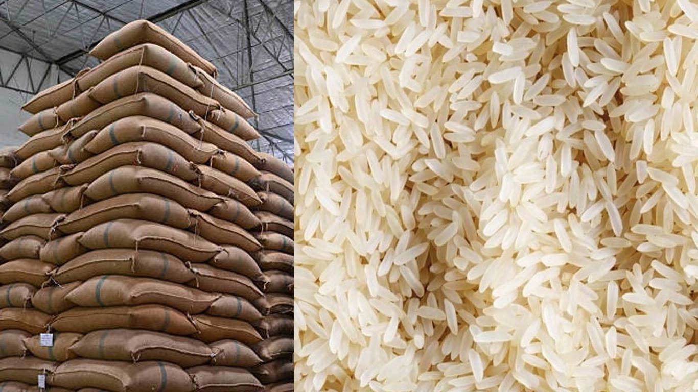 Government Lifts Ban on Non-Basmati Rice Exports, Cuts Duty to Boost Agricultural Sector