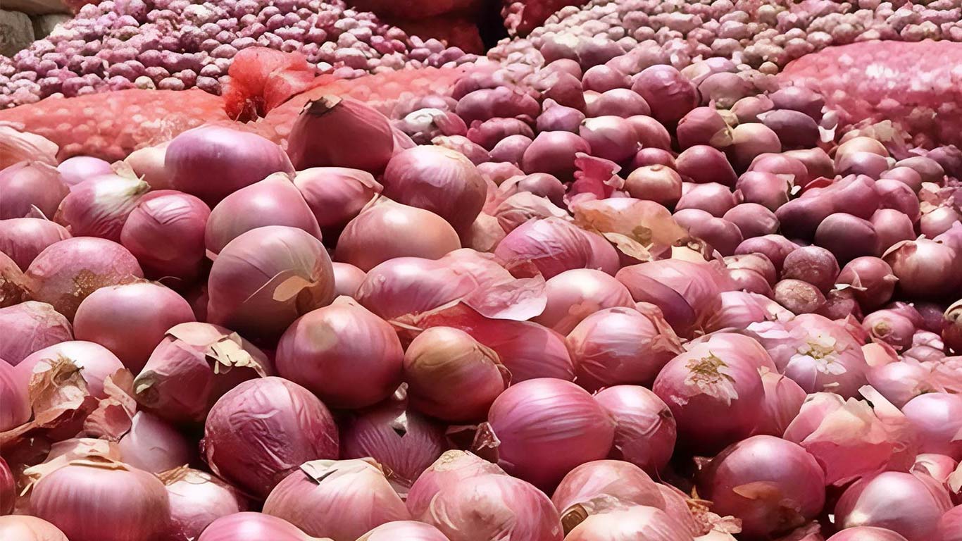 India Exports 2.6 Lakh Tonnes Of Onions Amid Policy Changes