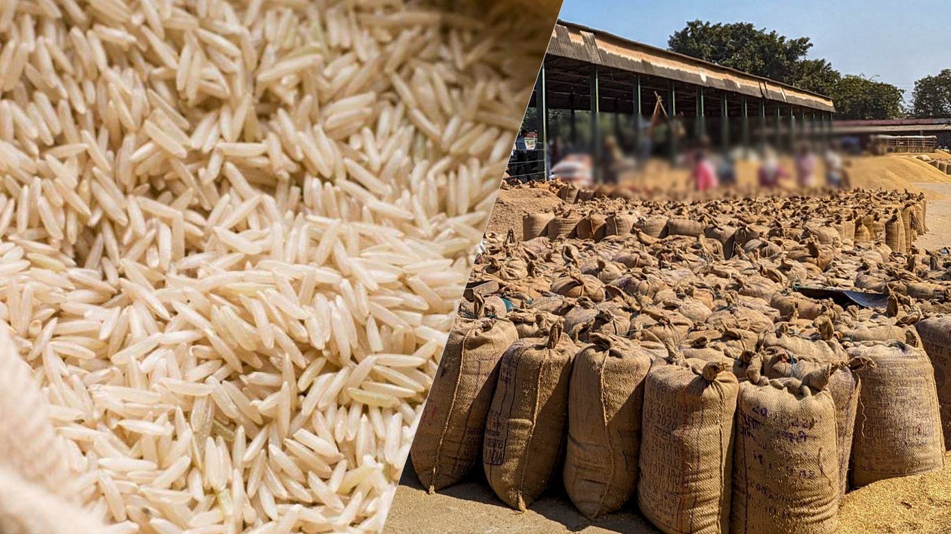 Rice Exporters Association Urges Government To Reconsider Export Policies