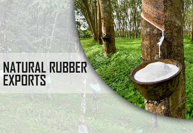 Tripura exports 14 Tons of natural rubber to Nepal