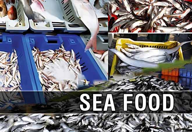 Seafood exports from India likely to touch USD 8 bn in FY22-23