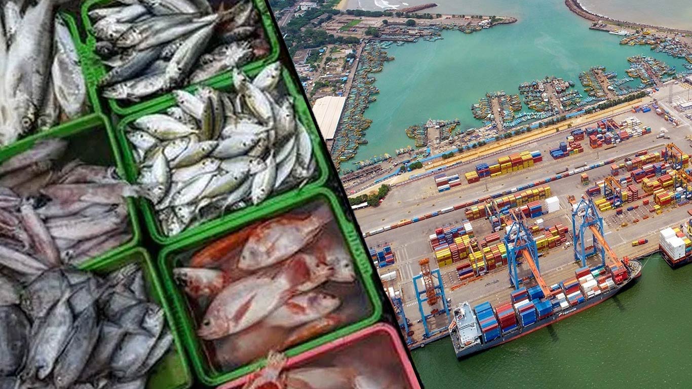 India's Seafood Exports Surge 30.81% in Four Years: Govt Data