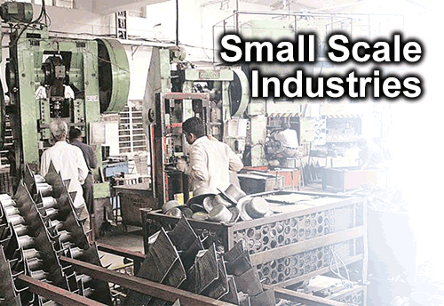 what do you mean by small scale industry
