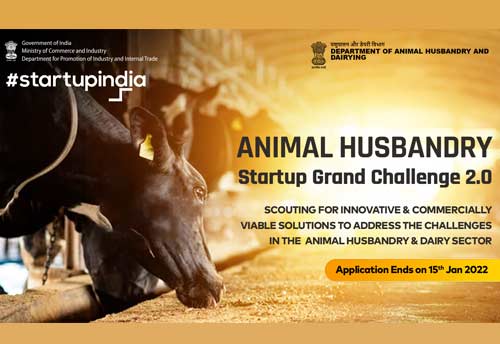 Second Animal Husbandry Startup Grand Challenge open until 15 Jan