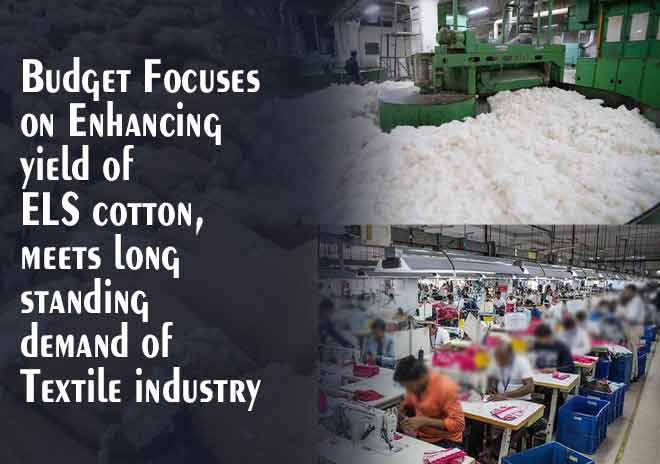 Budget focuses on enhancing yield of ELS cotton, meets long standing demand of textile industry